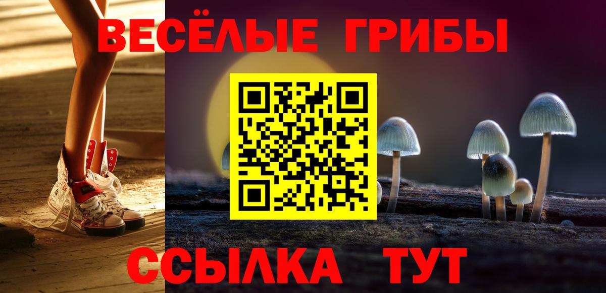Псилоцибиновые грибы Psilocybe Свободный